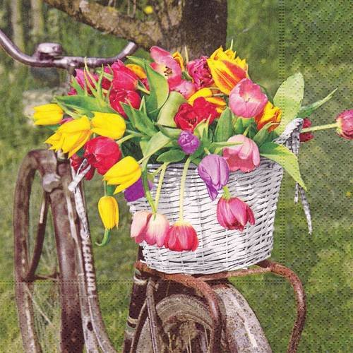 Serviette panier de tulipes sur le vélo ancien 