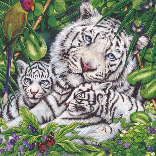 Serviette la famille tigre blanc dans la tanière