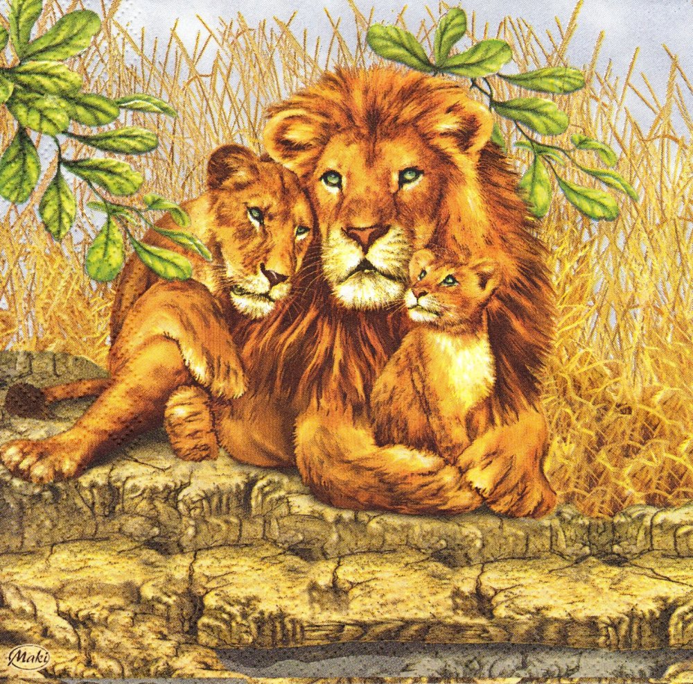 Serviette Le Lion La Lionne Et Le Lionceau Un Grand Marche