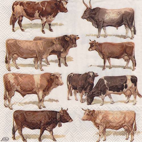 Serviette présentation de vache