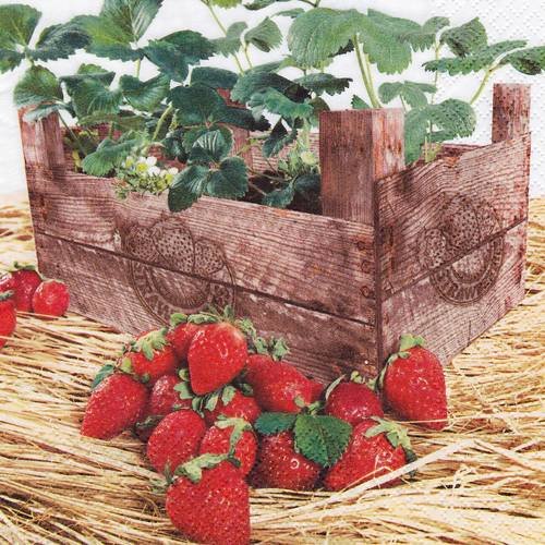 Serviette le petit jardin de fraise 