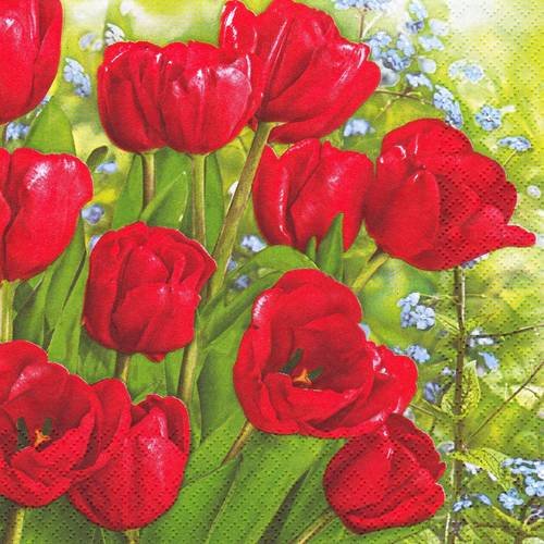 Serviette bouquet de tulipes et myosotis 