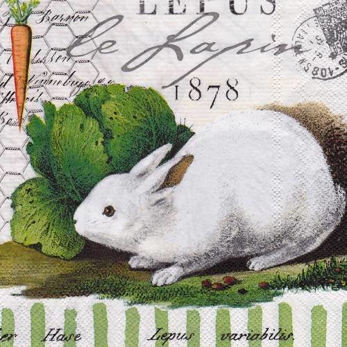 Serviette 33x33 mdw lapin blanc et lapin marron dans le potager 