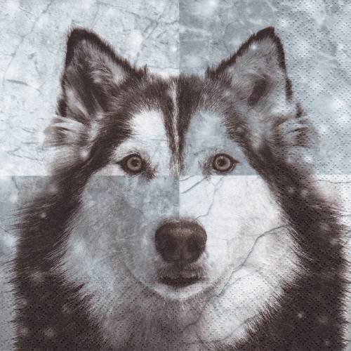 Serviette portrait chien husky en kaléidoscope 