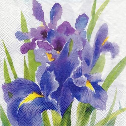Petite serviette 25x25 bouquet iris aquarelle 