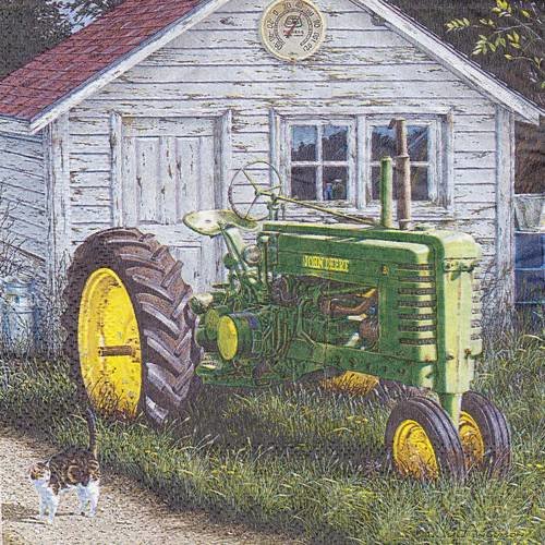 Serviette tracteur ancien et petit chat devant la remise 