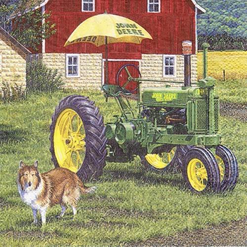 Serviette tracteur ancien et colley devant la grange rouge 
