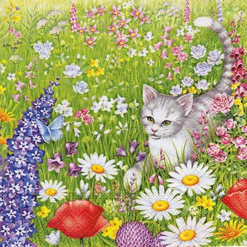 Serviette chat dans la prairie 