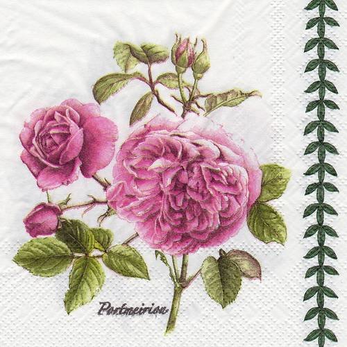 Petite serviette 25x25 rose portmeirion botanic garden 