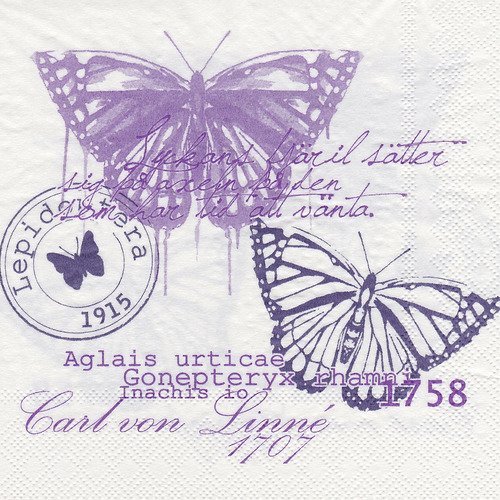 Serviette collection de papillon carl von linné 1707