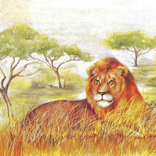 Serviette le lion et les lionnes dans la savane moremi