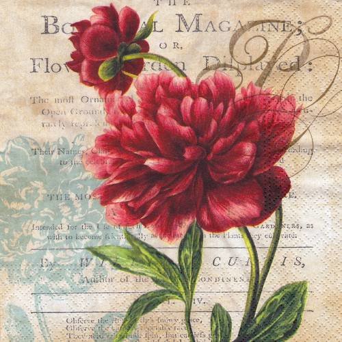 Serviette pivoine rose rouge botanical magazine 