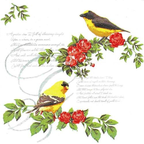 Serviette oiseau bird in roses oiseaux dans les roses sur fond ecriture