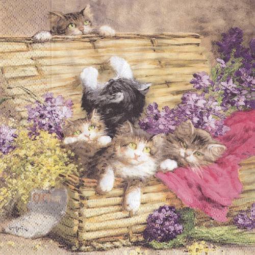 Serviette magnifique chaton dans le panier fleuri kitties