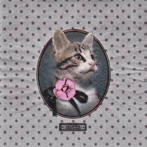 Serviette portrait droit de joli chat avec noeud rose et noir ii
