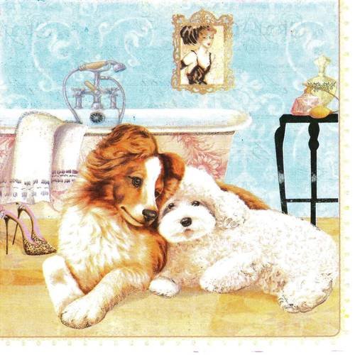 Serviette adorable chien et chiot dans la salle de bains fond rose ou bleu