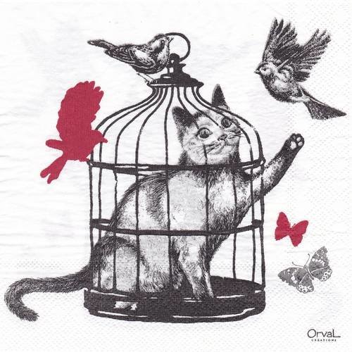 Serviette le chat dans la cage des oiseaux et les papillons