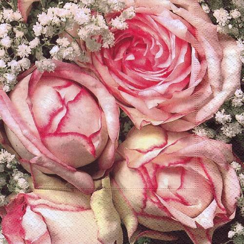 Serviette bouquet de rose délicate et gypsophile 