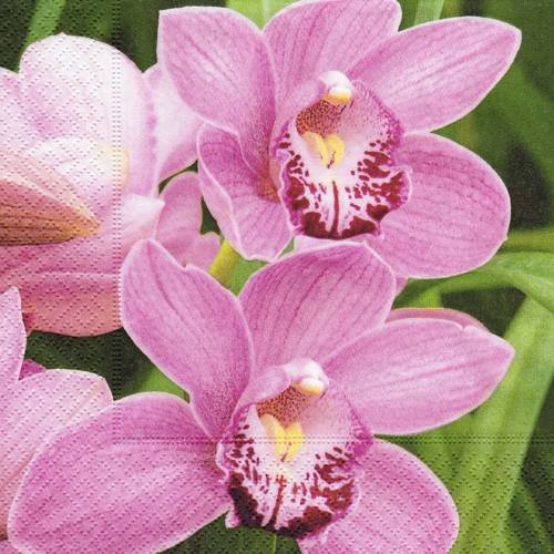 Serviette délicate orchidée rose 