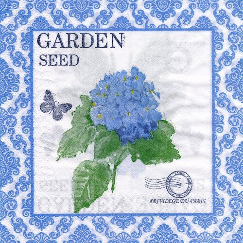 Serviette hortensia et papillon dans cadre bleu privilège du paris 