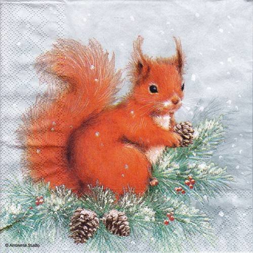 Serviette petit ecureuil sur une branche de pin dans la neige 