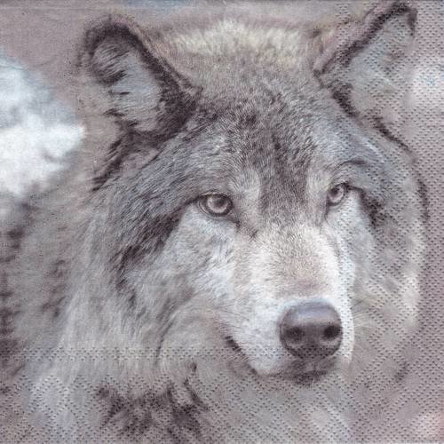 Serviette portrait de loup gris a l'affut 