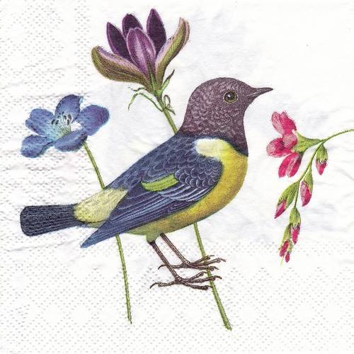 Petite serviette 25x25 oiseau jaune et bleu avec brin de fleur 