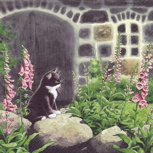 Serviette chat noir et blanc dans le jardin et les fleurs 