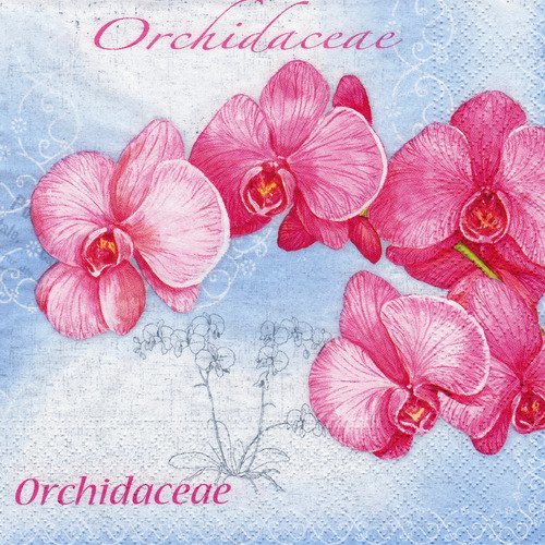 Serviette orchidée rose sur toile romantique bleue
