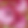 Petite serviette 25x25 fleurs de pivoine rose style pochoir 