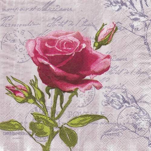 Serviette rose et bouton de rose sur fond de carte postale 