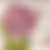 Serviette rose botanique sur fond de carte postale paris libellule