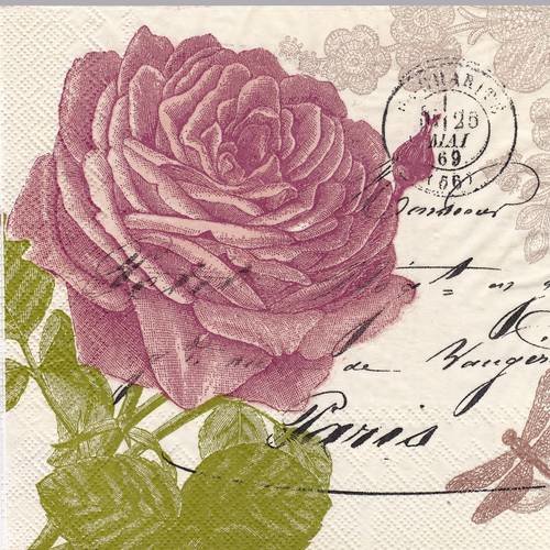 Serviette rose botanique sur fond de carte postale paris libellule