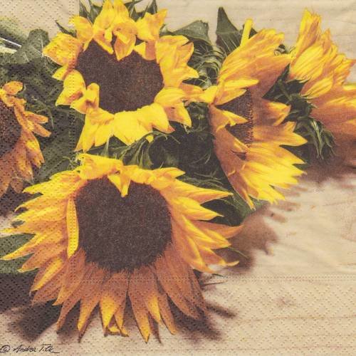 Serviette bouquet de tournesol sun flowers