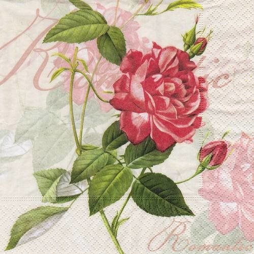 Serviette jolie rose romantic sur fond pastel 