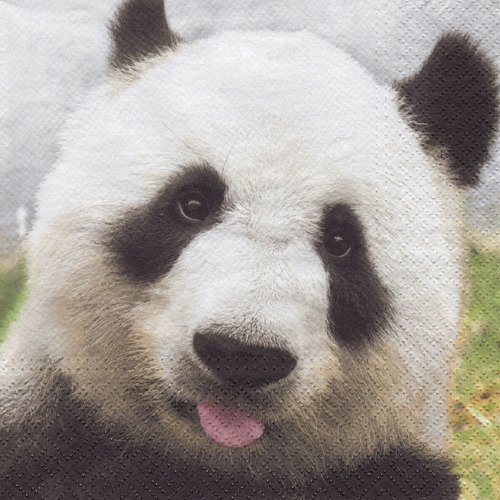 Serviette adorable portrait de panda
