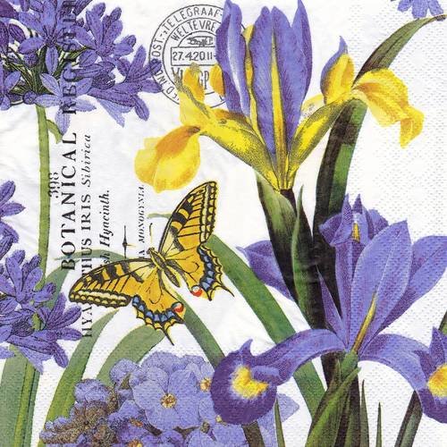 Serviette 33x33 mdw iris hortensia bleu botanicale