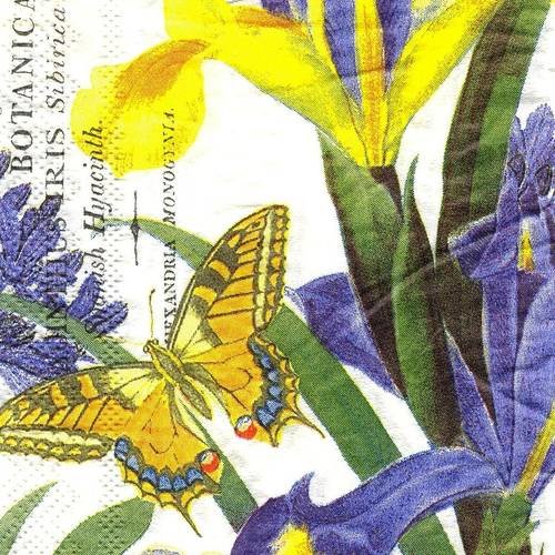 Serviette buffet 40x33 mdw iris papillon botanical