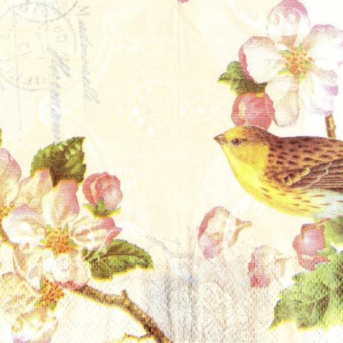 Petite serviette 25x25 oiseau sur branche de pommier fleurs 