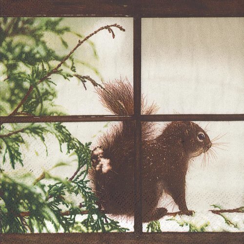 Serviette papier petit ecureuil à la fenêtre
