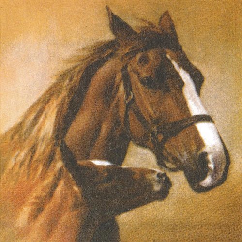Serviette papier jument et son poulain cheval