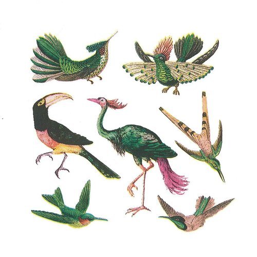 Serviette papier oiseaux exotiques autruche perroquet cacatoes