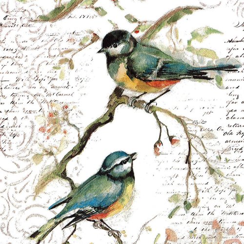 Serviette papier oiseau mésange bleue aquarelle lettre