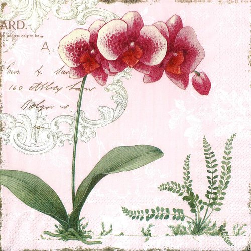 Serviette papier orchidée rose et blanche shabby fond rose