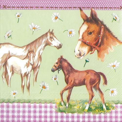 Serviette papier petit cheval et poulain au pré