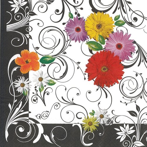 Serviette papier fleur petite paquerette arabesque bordure noire