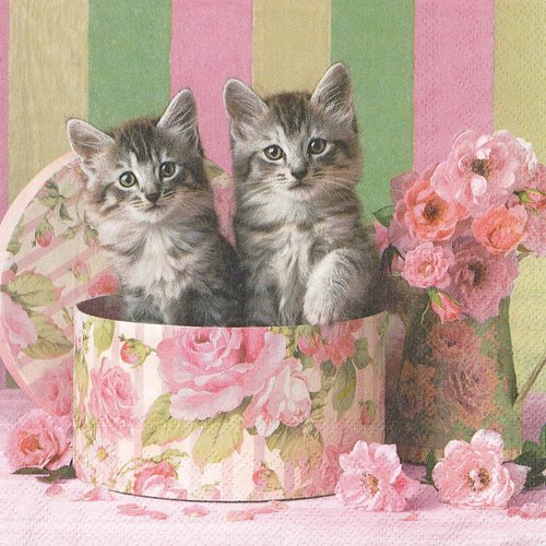 Serviette papier les petits chat dans la boite à chapeau fleurie bouquet de rose
