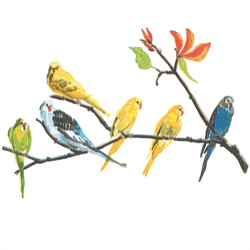 Serviette 33x33 perroquet multicolor jaune bleu sur une branche