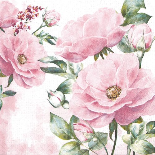 Serviette papier tableau rose ancienne eglantine