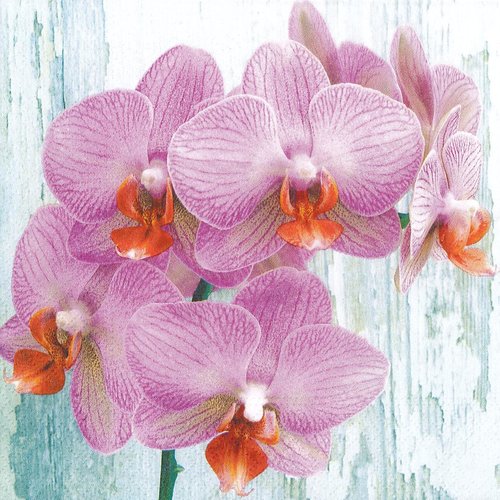 Serviette papier branche d'orchidée décor cérusé